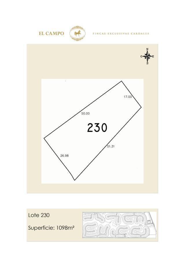 Plano 1