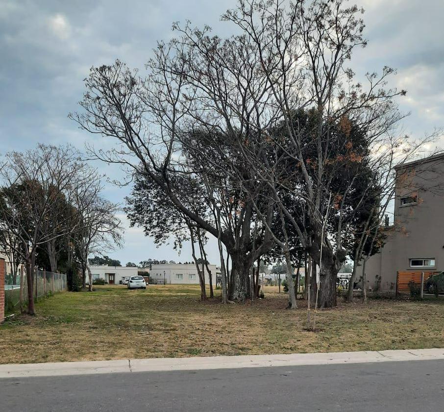 Foto de HERMOSO LOTE INTERNO EN BARRIO SANTA LUCIA, PILAR DEL ESTE, imagen 3