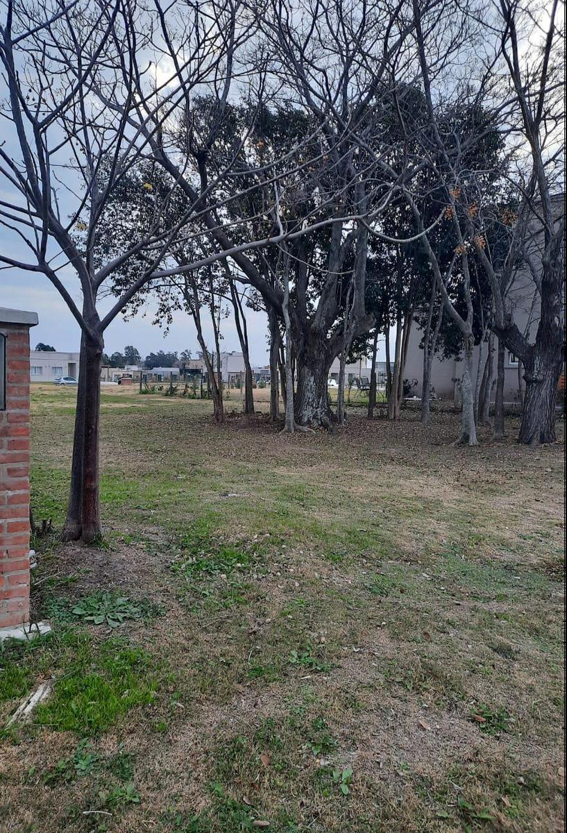 Foto de HERMOSO LOTE INTERNO EN BARRIO SANTA LUCIA, PILAR DEL ESTE, imagen 2