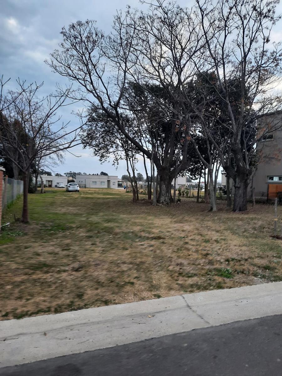 Foto de HERMOSO LOTE INTERNO EN BARRIO SANTA LUCIA, PILAR DEL ESTE, imagen 4