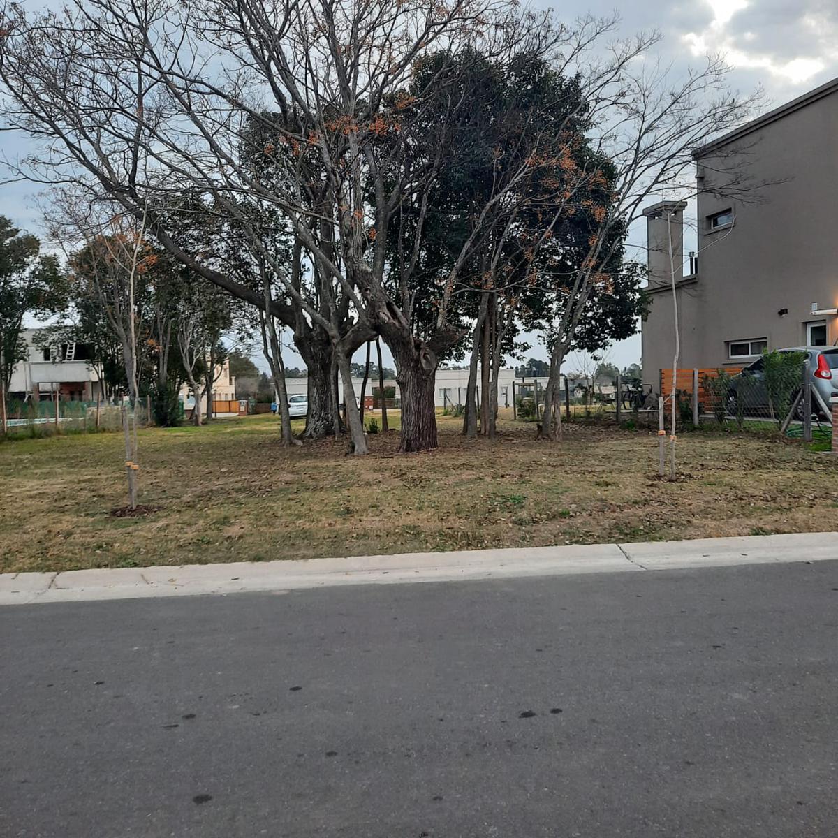 Foto de HERMOSO LOTE INTERNO EN BARRIO SANTA LUCIA, PILAR DEL ESTE, imagen 5
