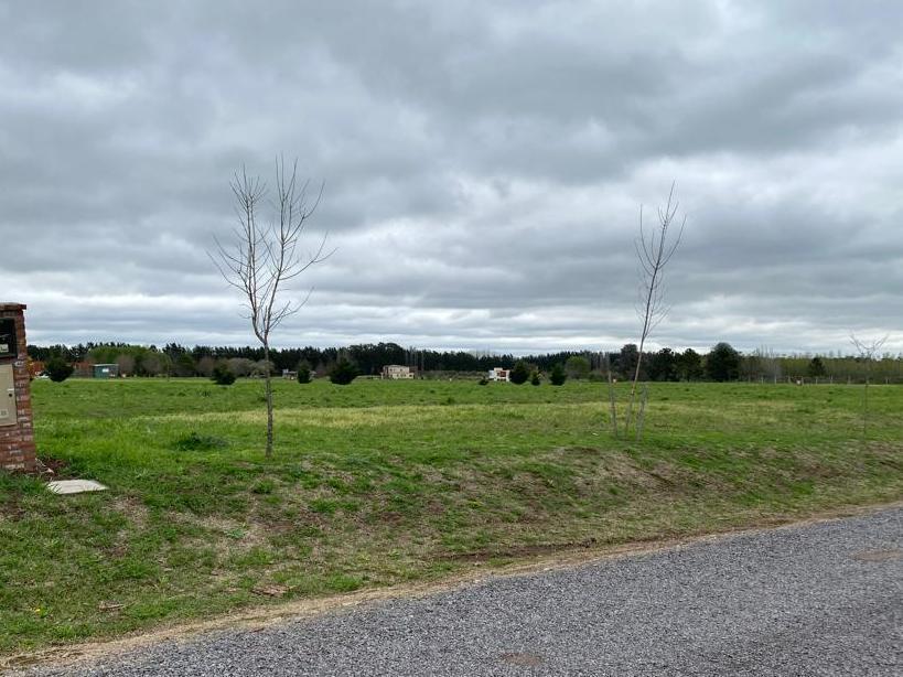 RBS. HERMOSO LOTE INTERNO, EL CAMPO ETAPA 1, CARDALES