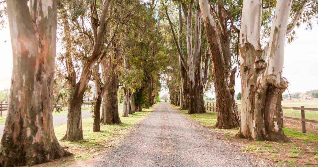 Oportunidad. Lote en El Campo - Fincas Exclusivas Cardales 2