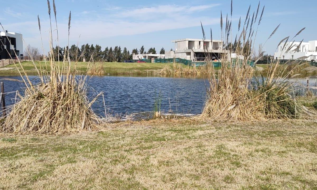 Foto de Terreno en El Naudir, imagen 2