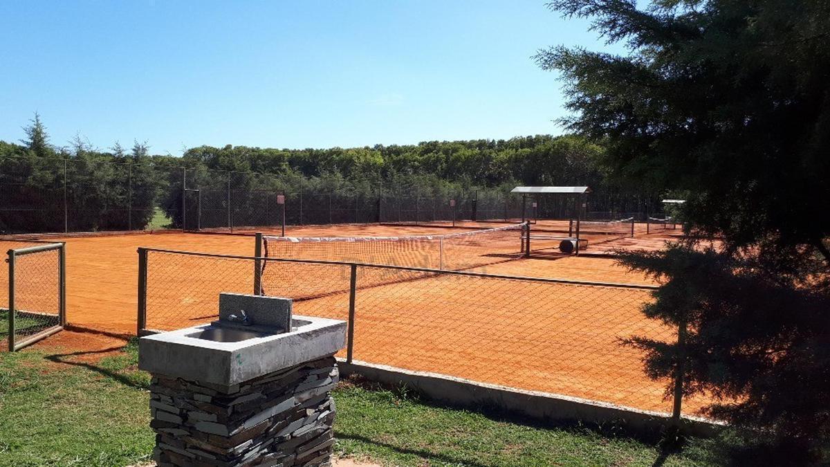 Foto de Excelente Lote interno en venta en San Sebastián, área 11, imagen 5