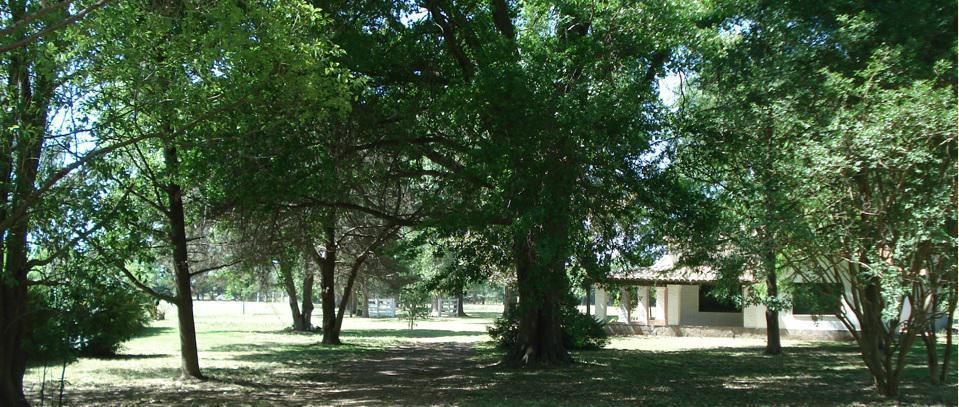 MMC. Venta Lote en venta en Barrio Matisse