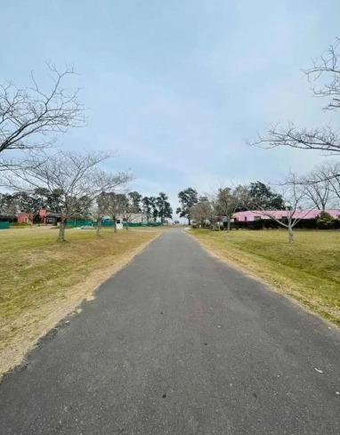 GNN. Venta de Terreno - Los Palenques
