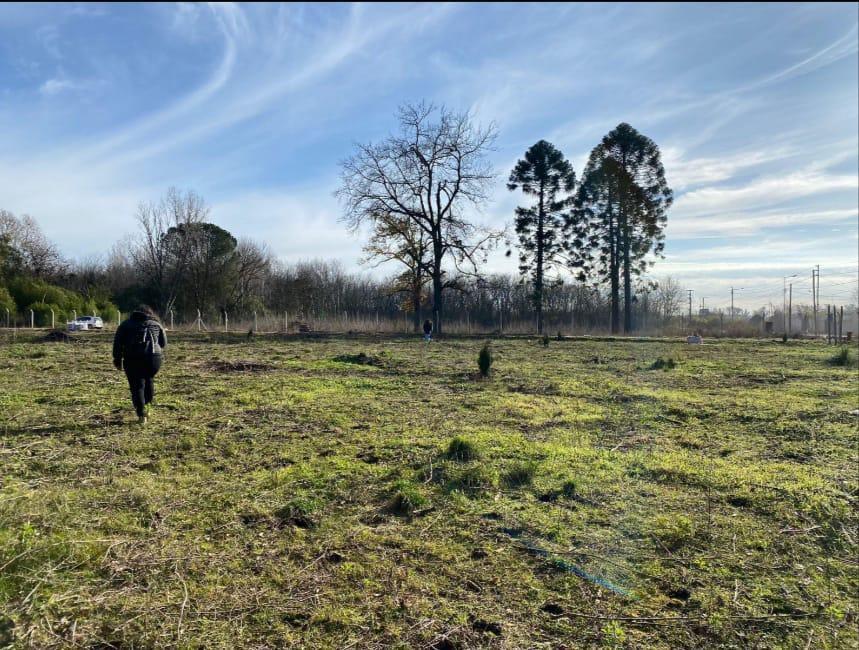 Foto de Terreno en barrio cerrado Los Pinos, imagen 2