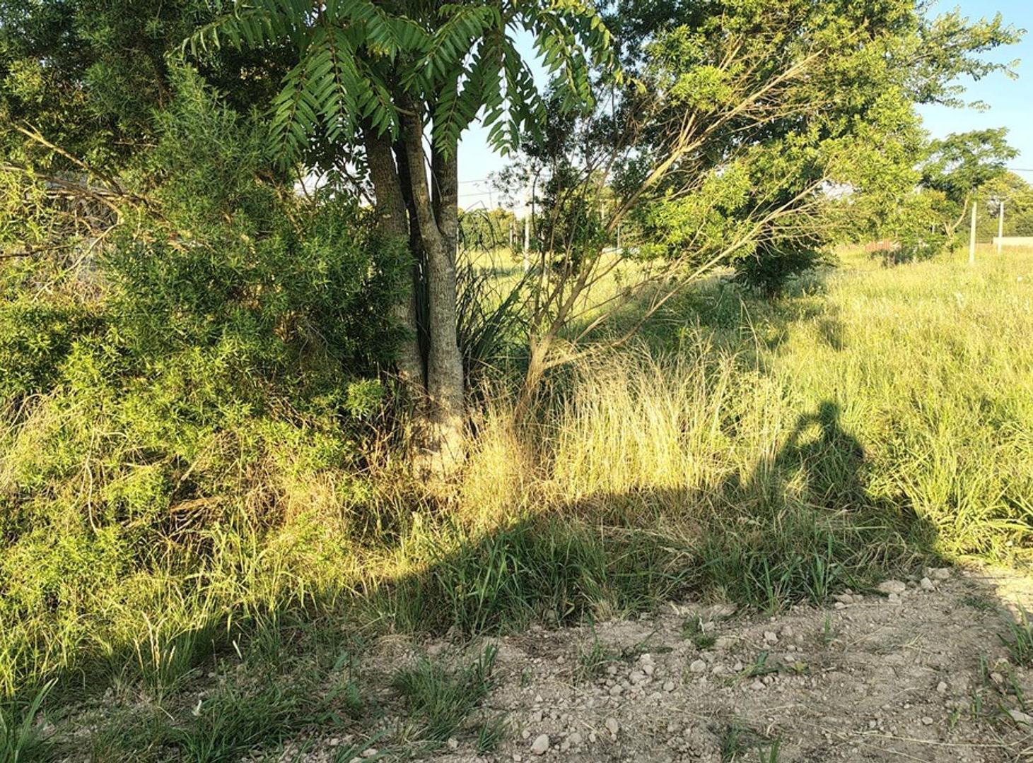 Foto de Mgm. Oportunidad! Lote venta Barrio Abierto Los Mandarinos 3, imagen 2