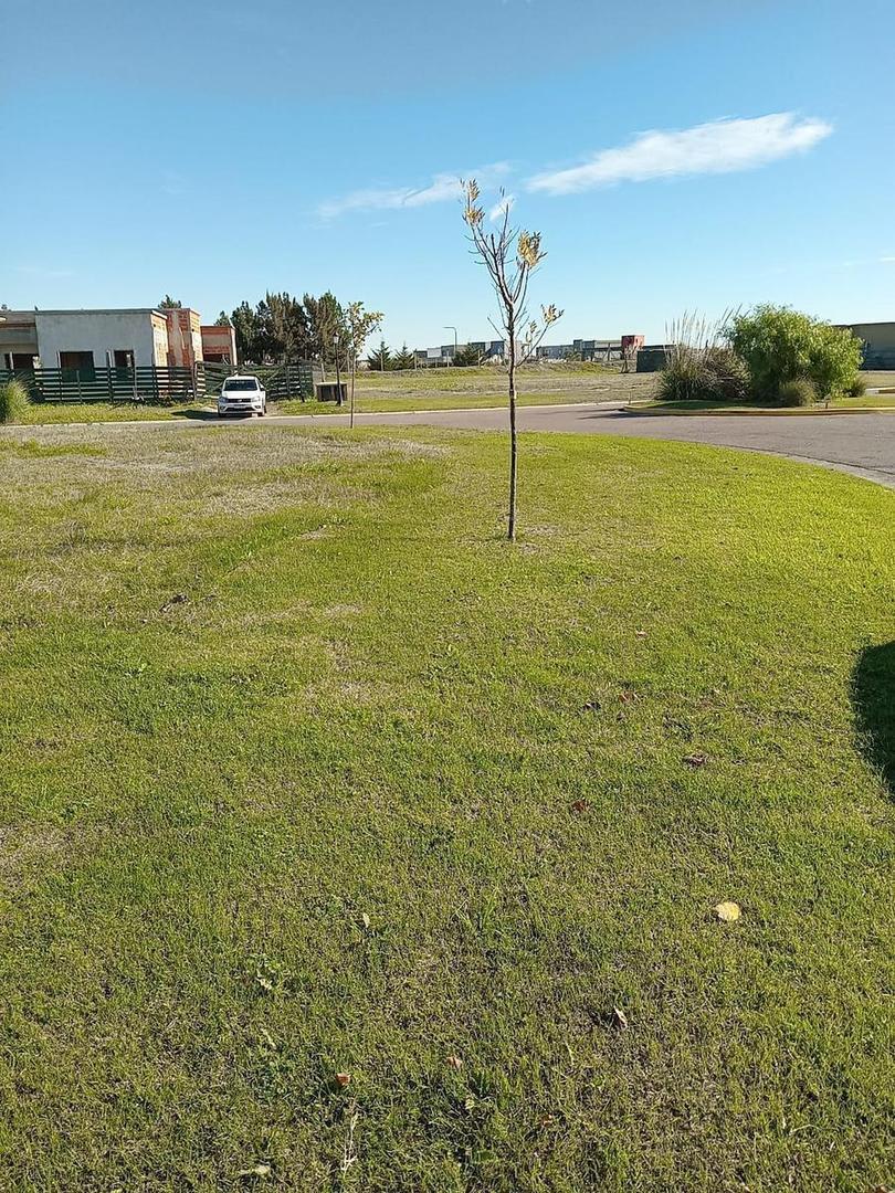 nev. Lote en venta - San Sebastian - Area 11