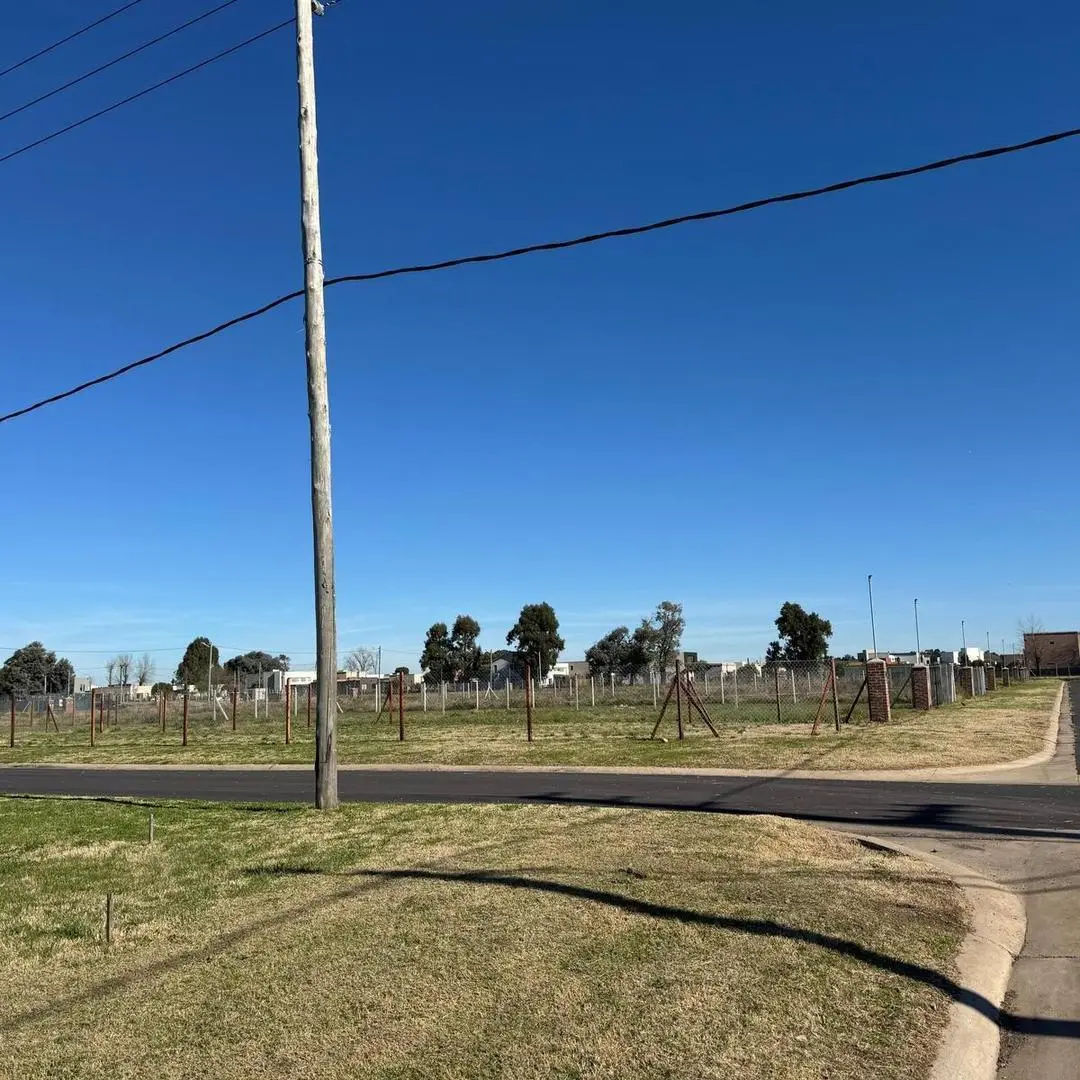 ADG. Lote interno en Nueva Zelaya 2 5
