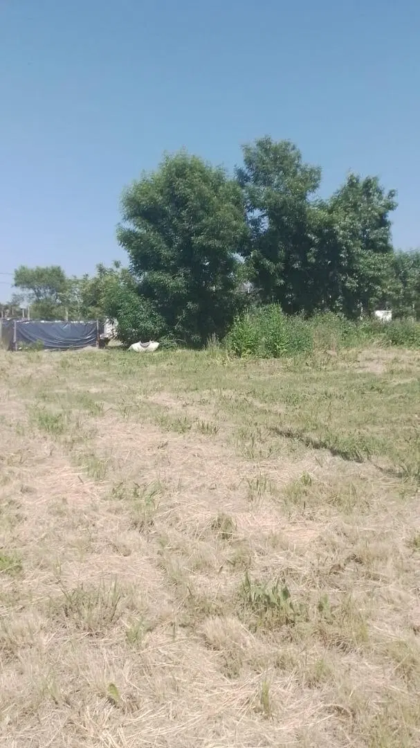 MGM. Venta Hermoso terreno en Loma Verde Los Mandarinos 3 2