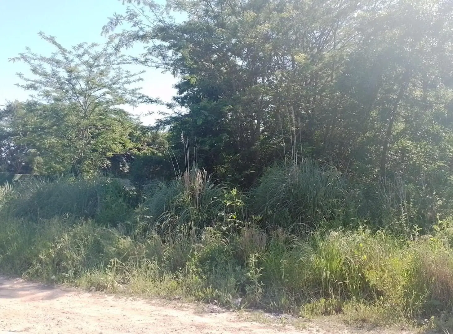 Mgm. Venta Excelente Lote ubicado en Loma Verde 3