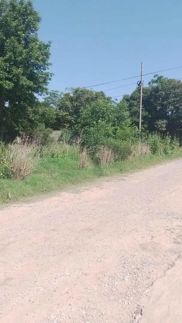 Mgm. Venta Excelente Lote ubicado en Loma Verde 2