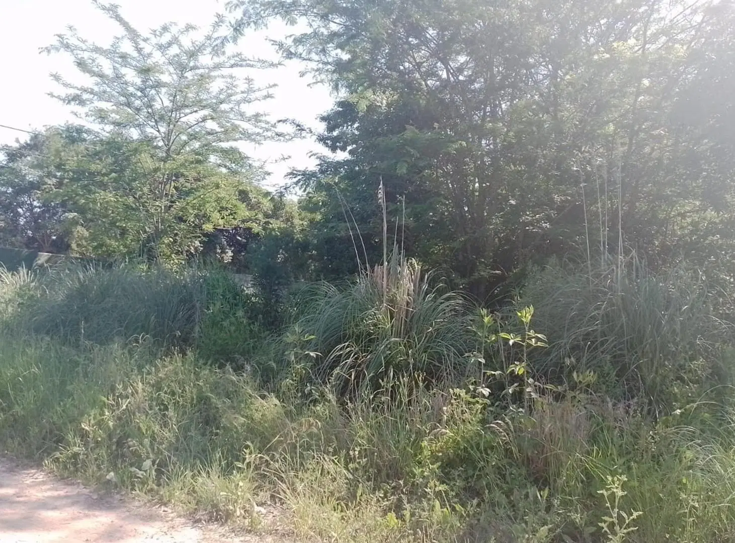 Mgm. Venta Excelente Lote ubicado en Loma Verde 4