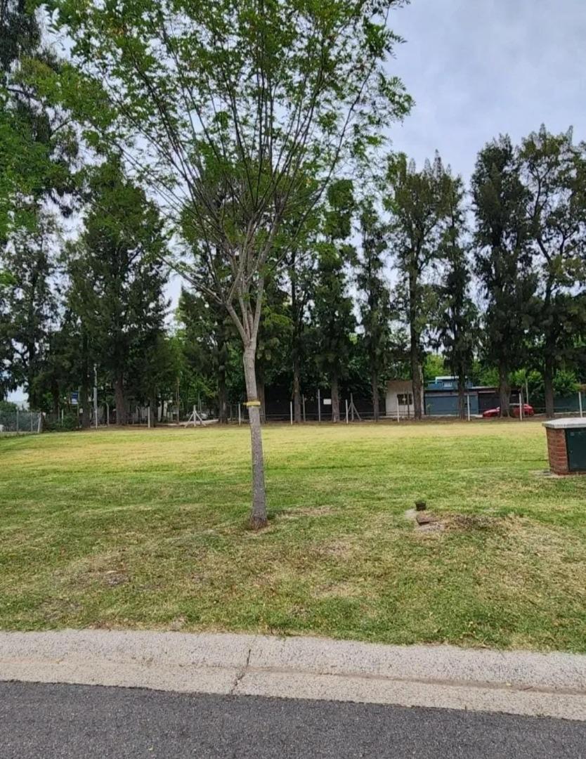 RBS. DIVINO LOTE EN BARRIO SANTO TOMAS, PILAR.