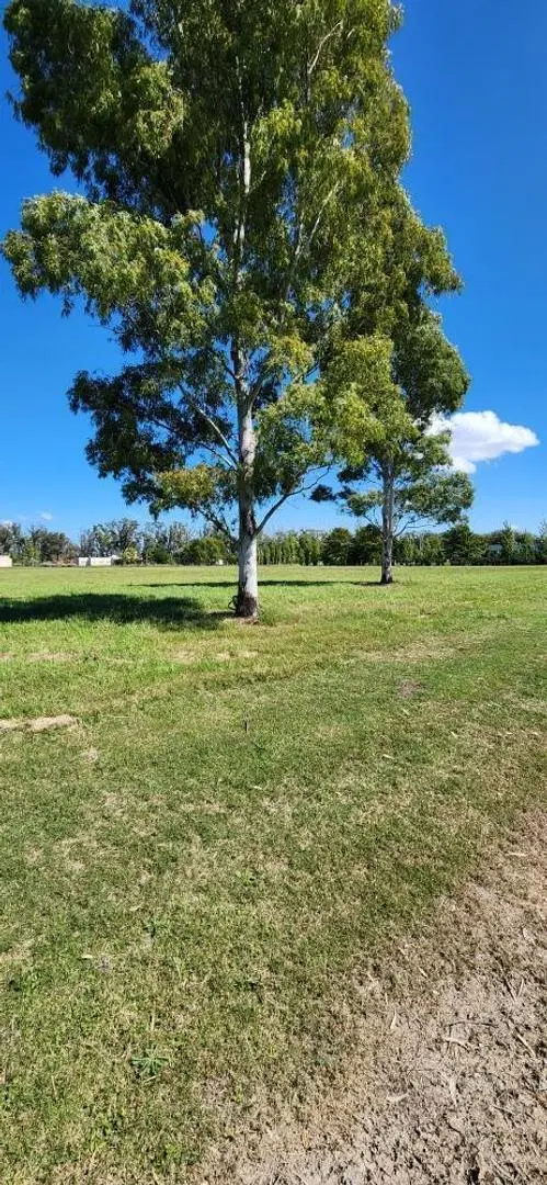 MLM. Venta lote en Barrio Santa Matilde, Comarcas de Luján 5