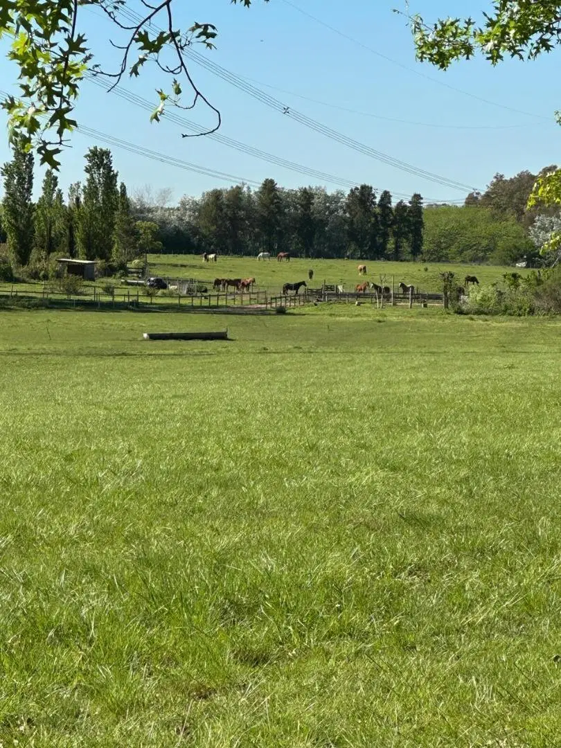 Excelente Lote Interno en Chacras de La Cruz 5