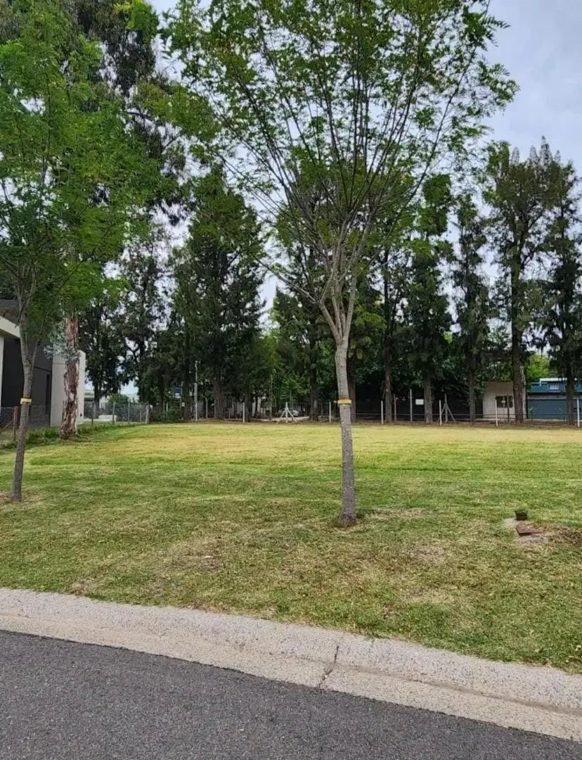 RBS. DIVINO LOTE EN BARRIO SANTO TOMAS, PILAR. 2