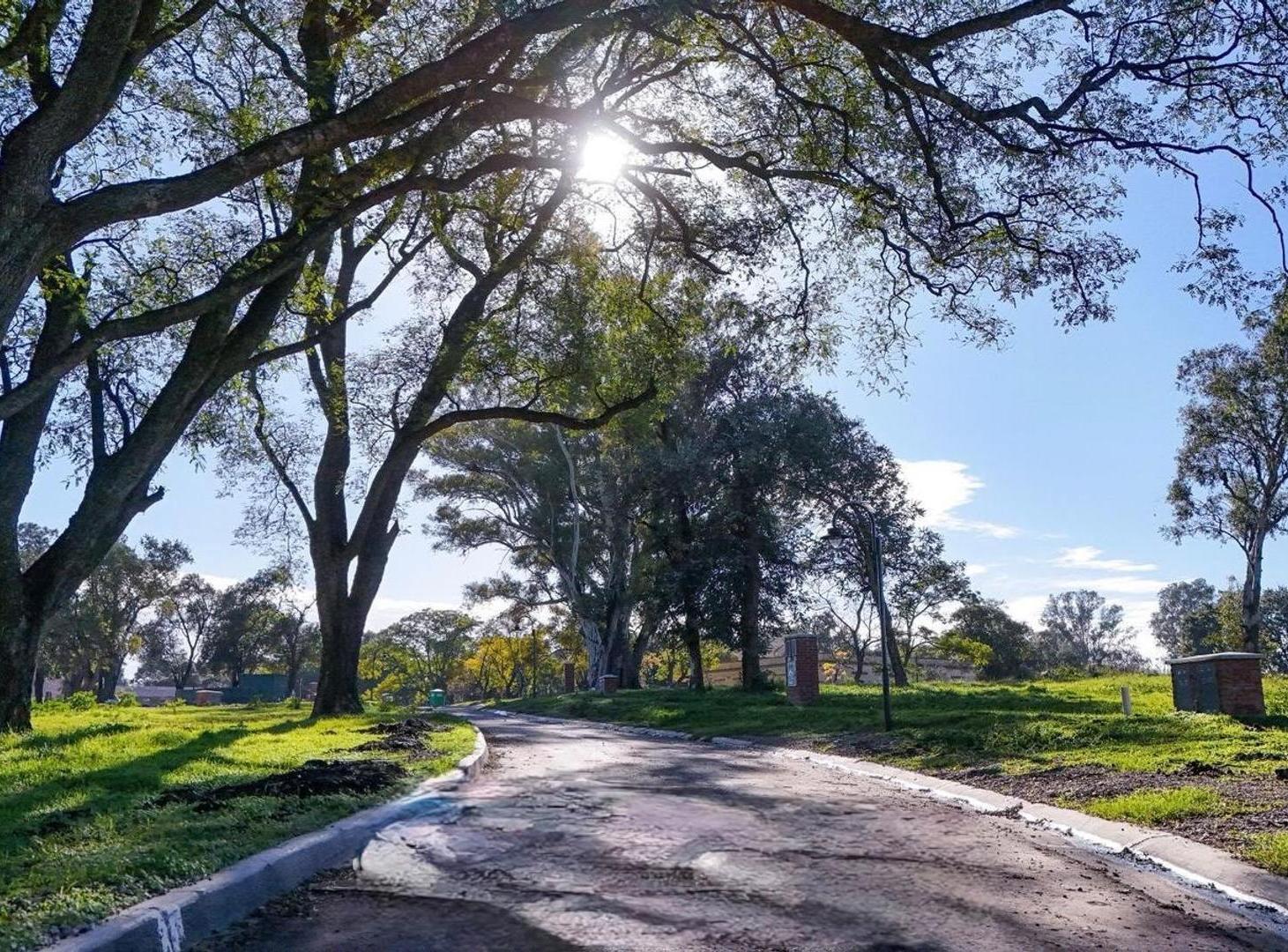 Foto de ADG. Lote interno en Estancia Carabassa | EIDICO, imagen 5
