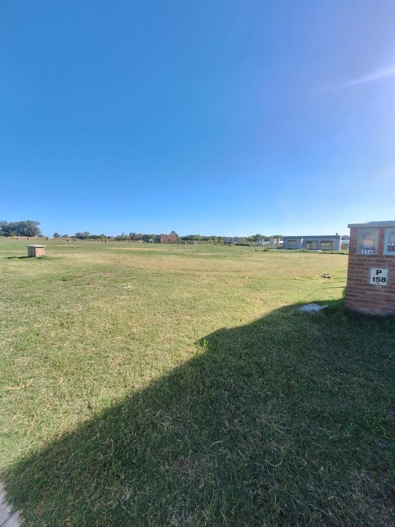 Foto de Hermoso lote interno en oportunidad, imagen 4