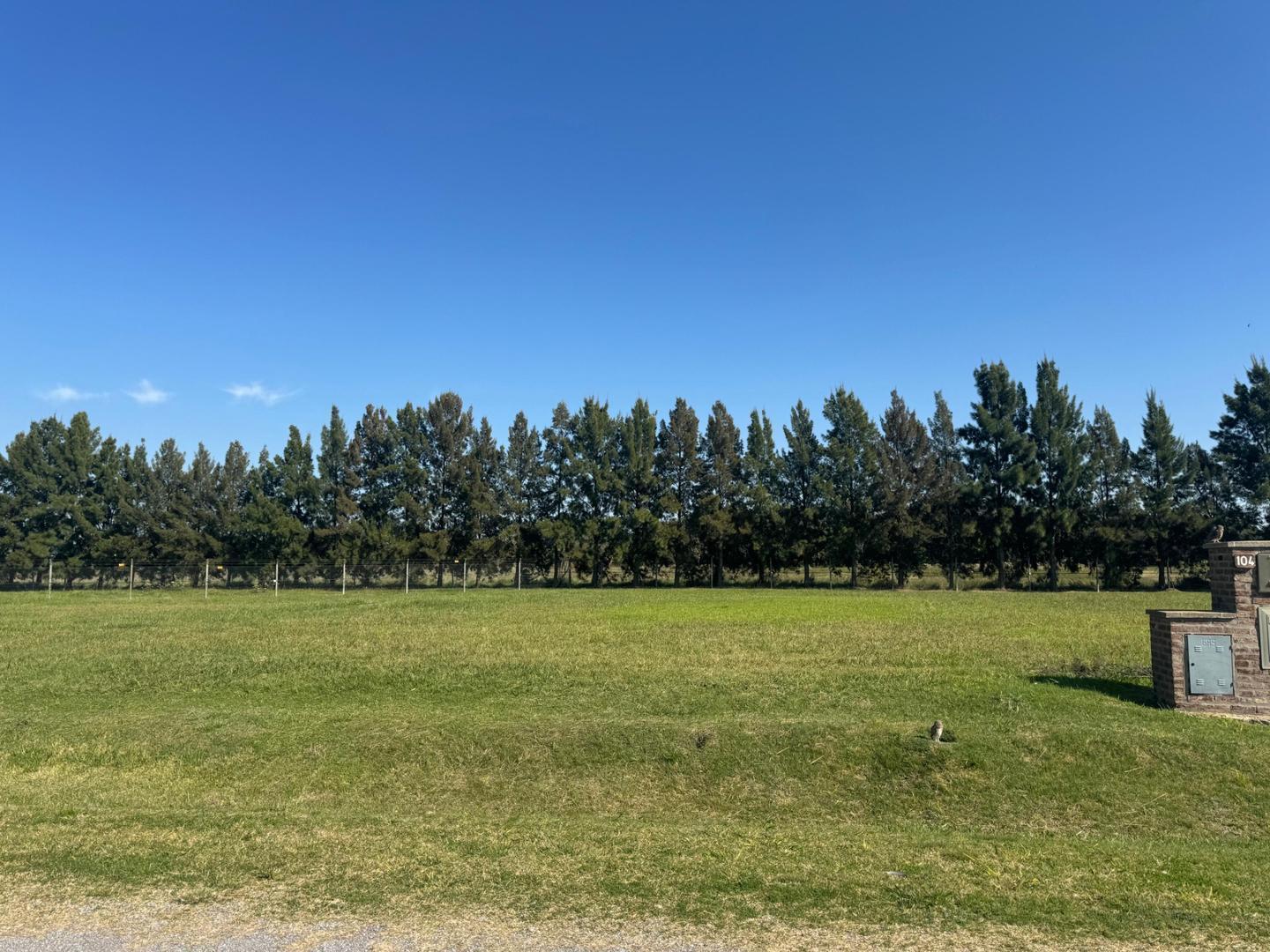 Foto de ADG. Lote con frente a la laguna en Las Calandrias, imagen 3