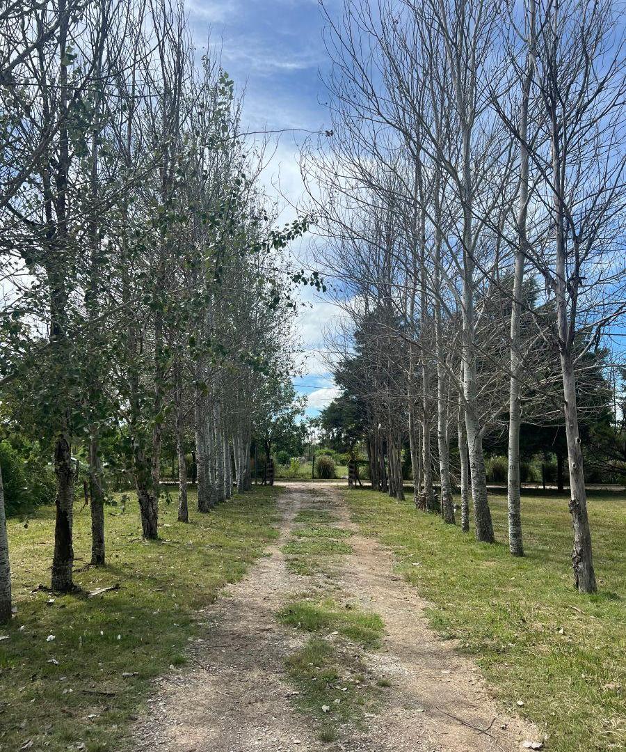 Foto de CASA EN BARRIO CERRADO | VENTA | ADM KRIVORUK, imagen 2