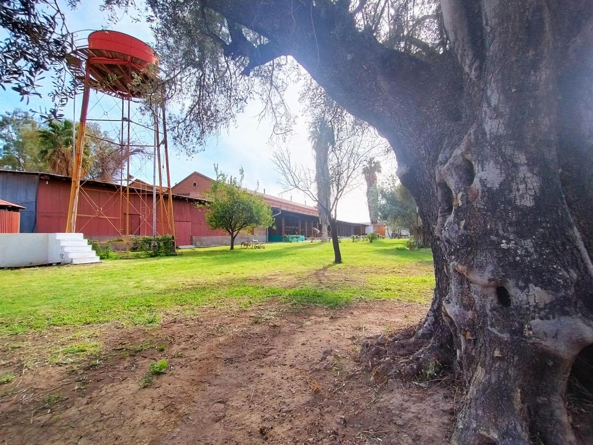 Bodega Histórica en Venta 3