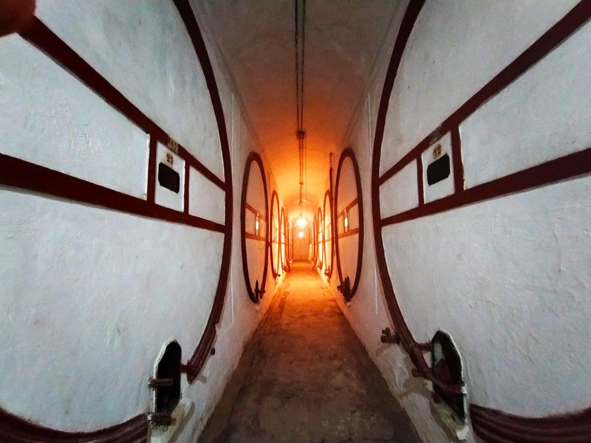 Bodega Histórica en Venta 5