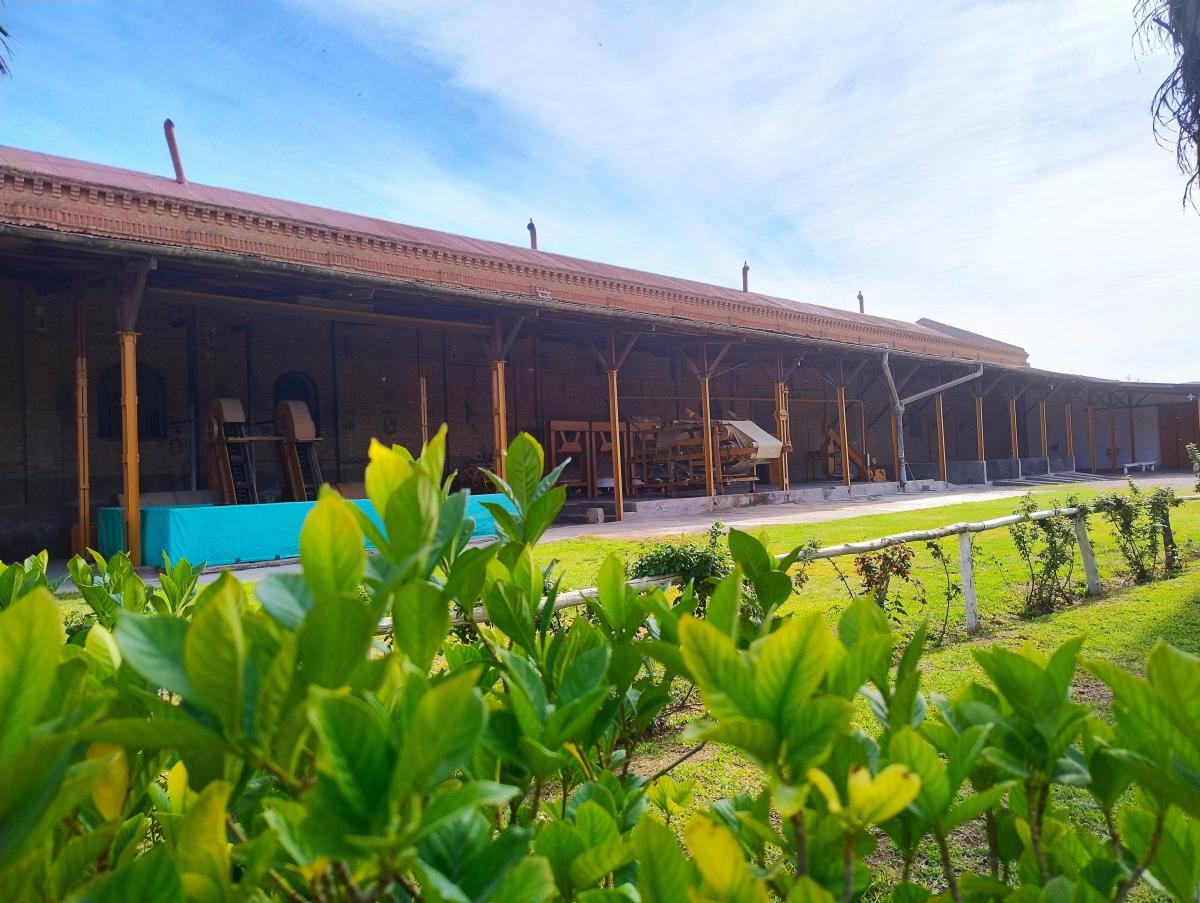 Bodega Histórica en Venta 4