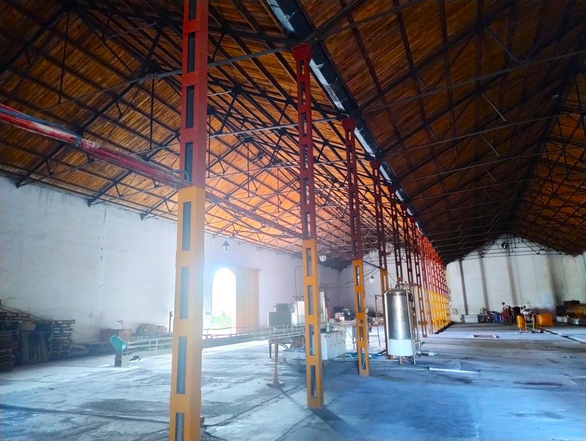Bodega Histórica en Venta 3