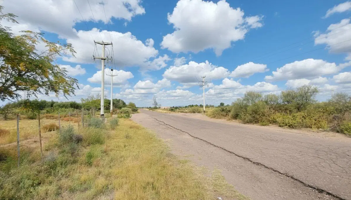 37 HECTÁREAS | EL LIENZO EN BLANCO PARA TU GRAN PROYECTO AGRÍCOLA EN MENDOZA 5