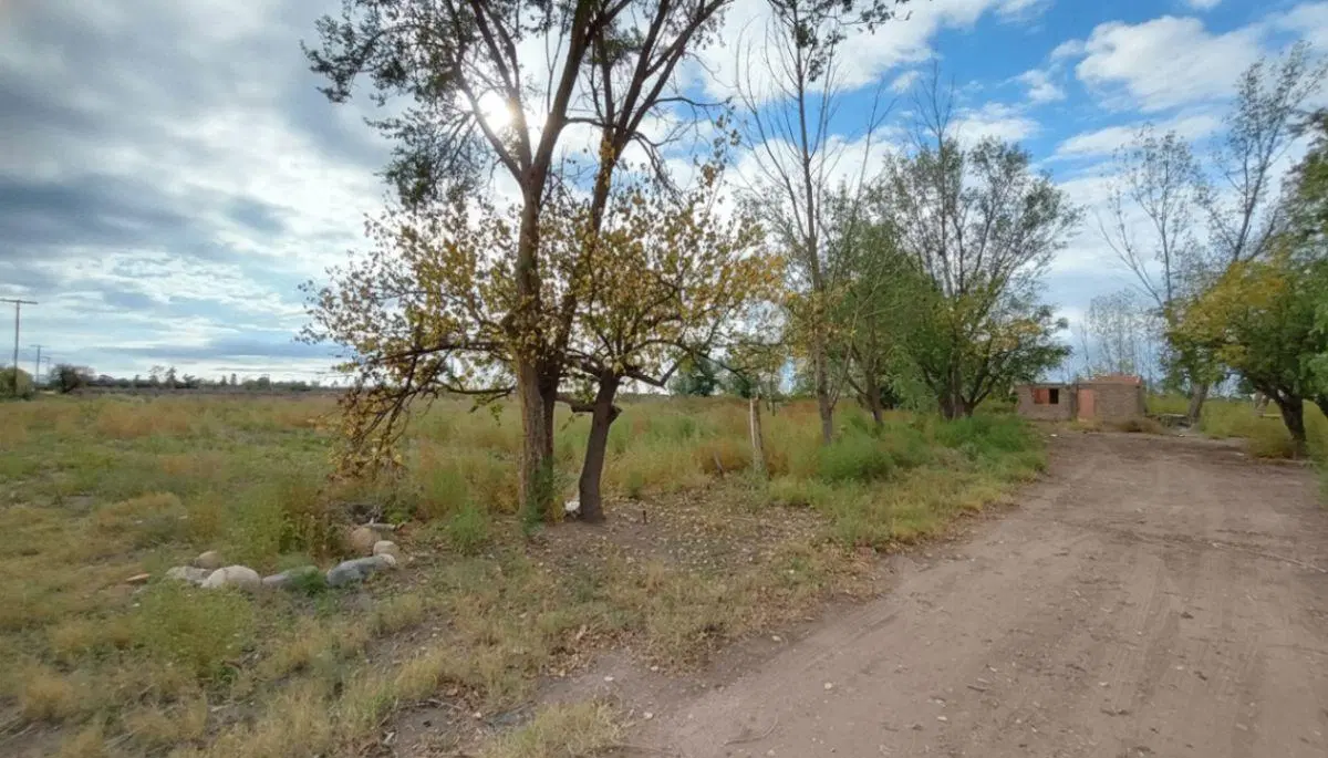 37 HECTÁREAS | EL LIENZO EN BLANCO PARA TU GRAN PROYECTO AGRÍCOLA EN MENDOZA 3