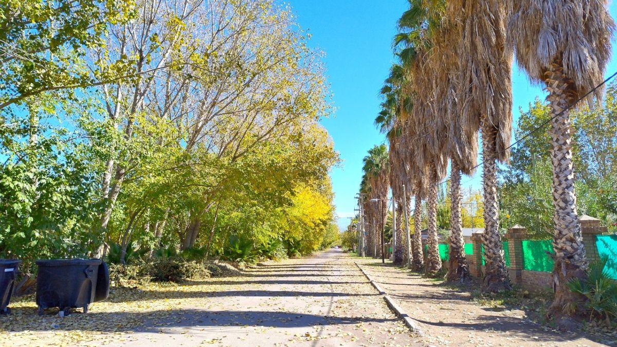 Foto de Terreno / Lote en venta de 522m2 ubicado en El Sauce, imagen 5
