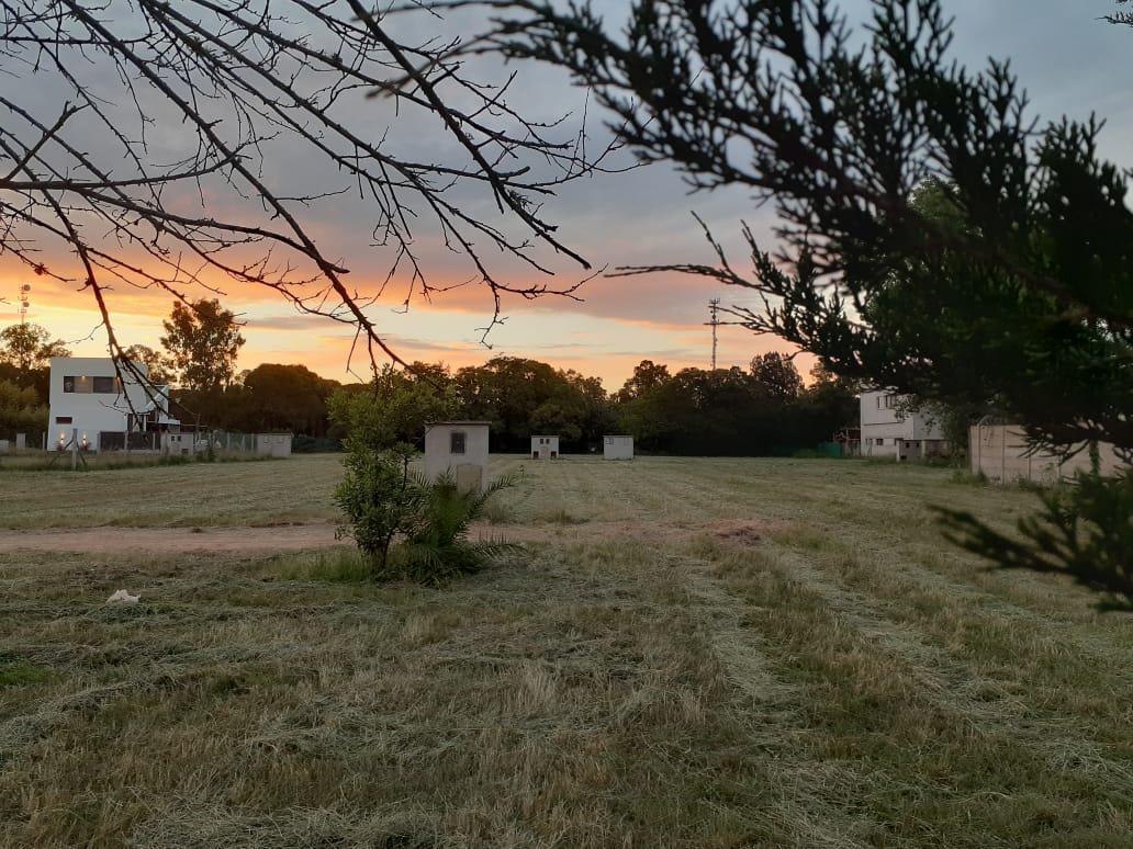 Terreno - Villa Elisa 5