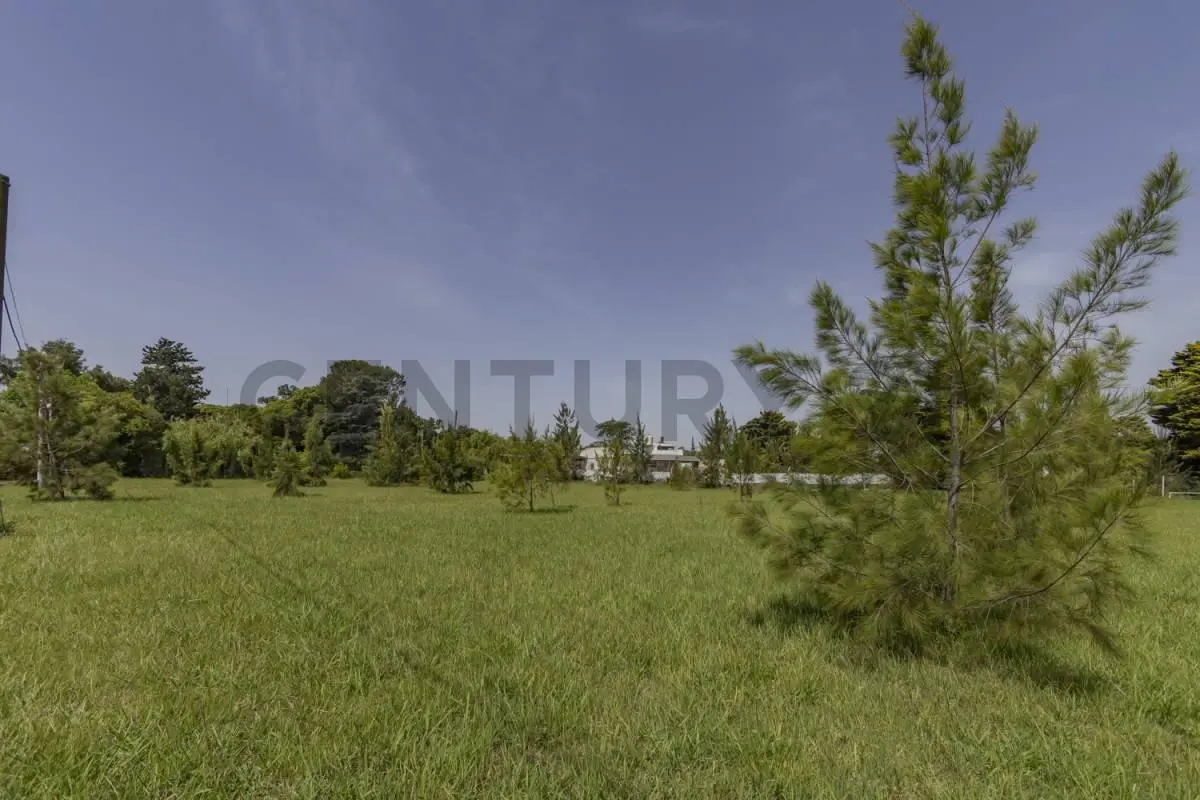 LOTE A LA VENTA EN SAN PATRICIO II 4