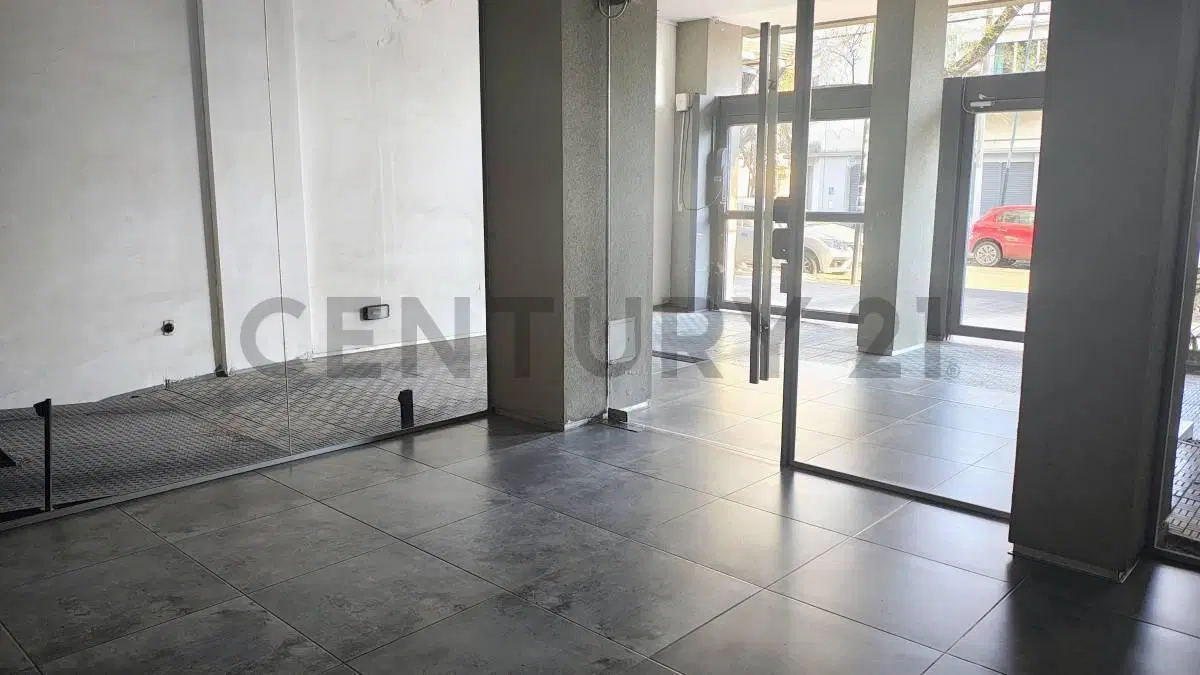 ALQUILER DEPARTAMENTO TIPO DUPLEX, 2 DORMITORIOS CON COCHERA, BALCON CON PARRILLA 4