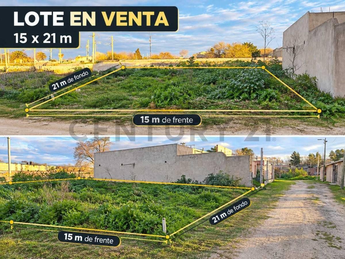 Foto de Lote en VENTA 333 mts2 en Villa Castells, imagen 3