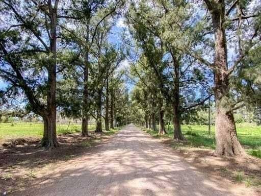 Foto de Lote a la VENTA de 504 mts2. en Complejo Renovar, ABASTO, imagen 5