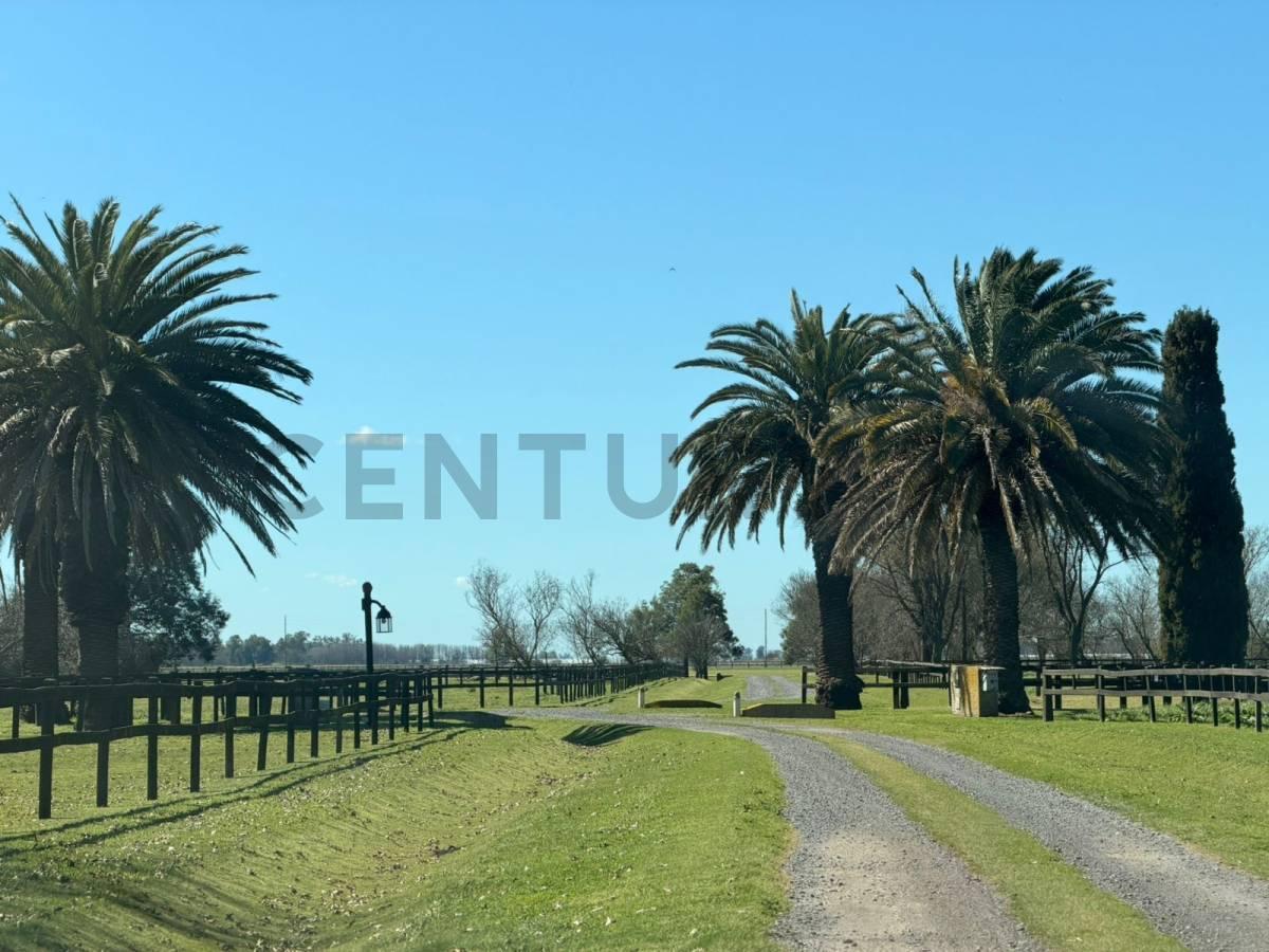 Foto de LOTE DE 1.4 Hectareas a la venta en Santa Maria de Lobos Polo., imagen 2