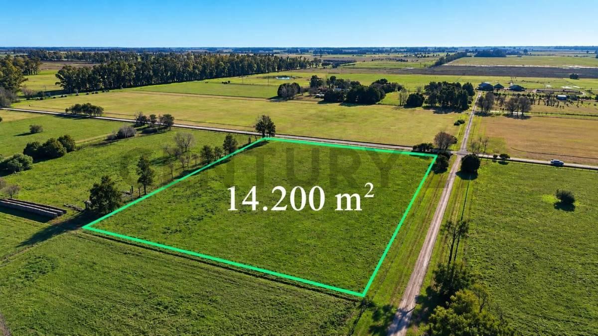 Foto de LOTE DE 1.4 Hectareas a la venta en Santa Maria de Lobos Polo., imagen 1