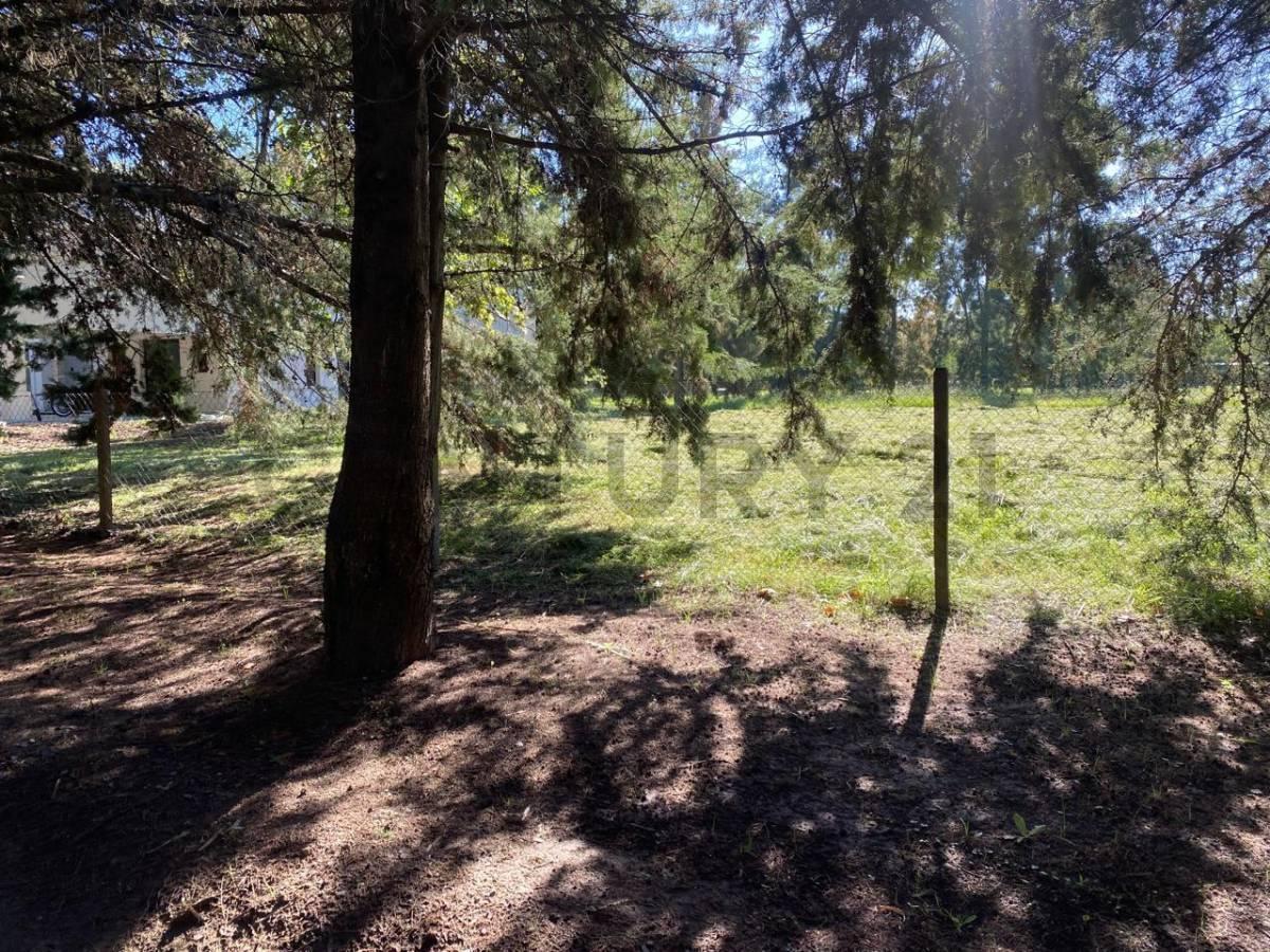 Foto de LOTE A LA VENTA EN MIRALAGOS, imagen 1