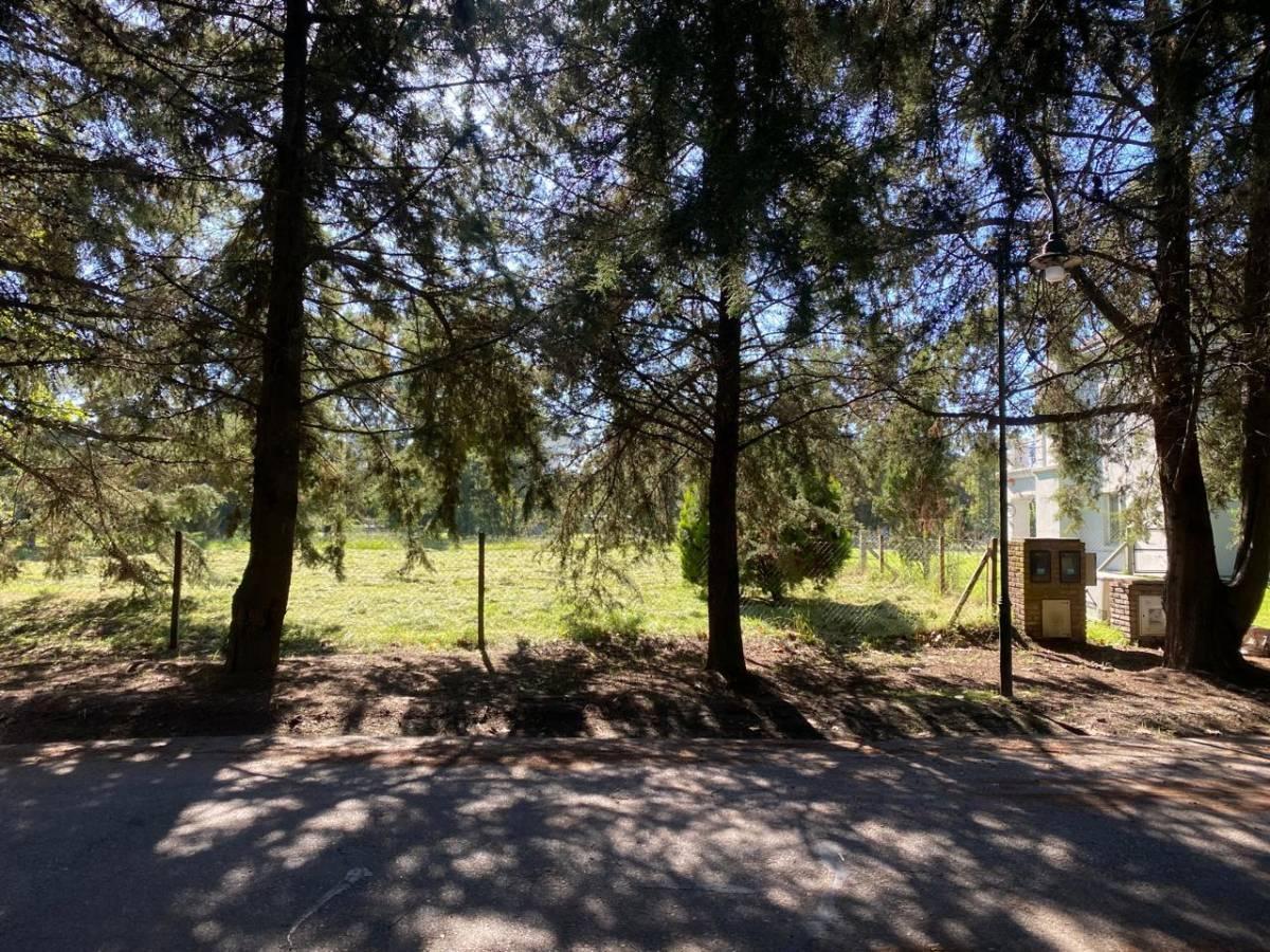 Foto de LOTE A LA VENTA EN MIRALAGOS, imagen 4