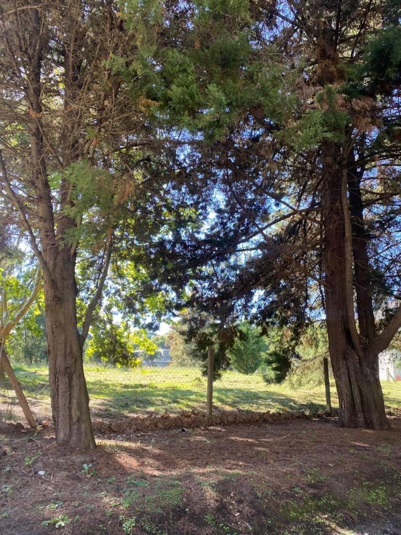 Foto de LOTE A LA VENTA EN MIRALAGOS, imagen 2