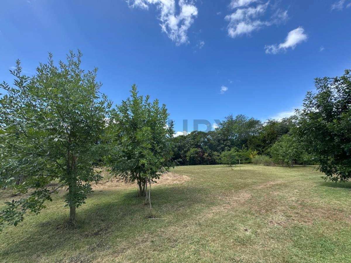 Foto de Lotes a la venta en complejo cerrado en Joaquín Gorina, imagen 2