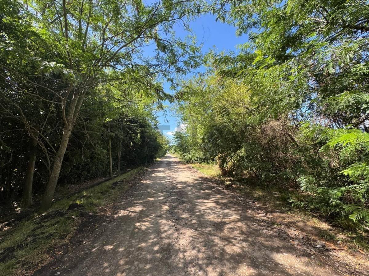 Foto de Lotes a la venta en complejo cerrado en Joaquín Gorina, imagen 4