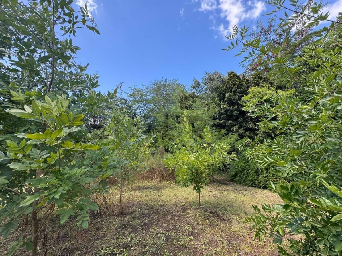 Foto de Lotes a la venta en complejo cerrado en Joaquín Gorina, imagen 3