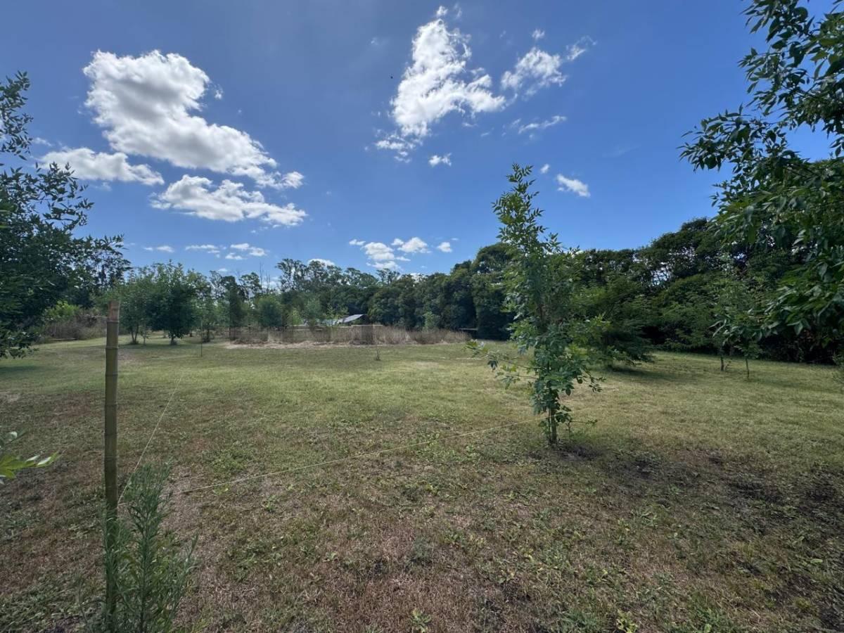 Foto de Lotes a la venta en complejo cerrado en Joaquín Gorina, imagen 5