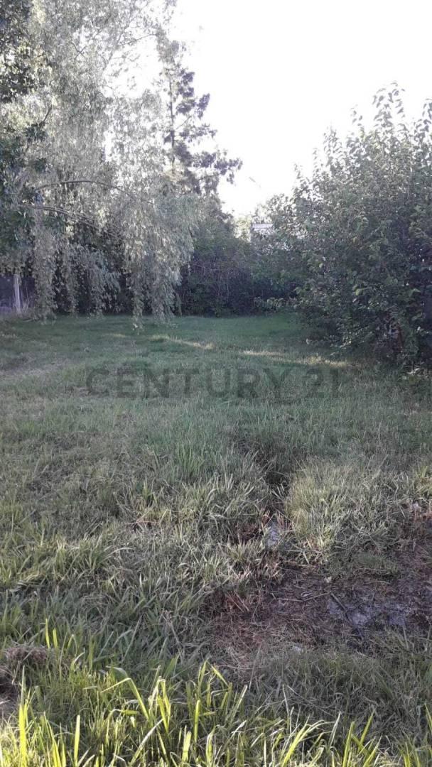 Foto de Casa en Venta de 2 dormitorios, 3 ambientes, en 496 Entre 2 y 3, Manuel, imagen 2