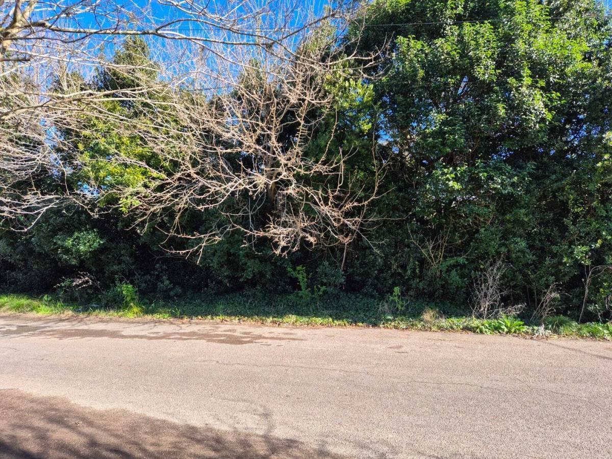 Foto de Lote en venta en City Bell, imagen 1
